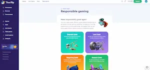 true flip casino responsible gaming page